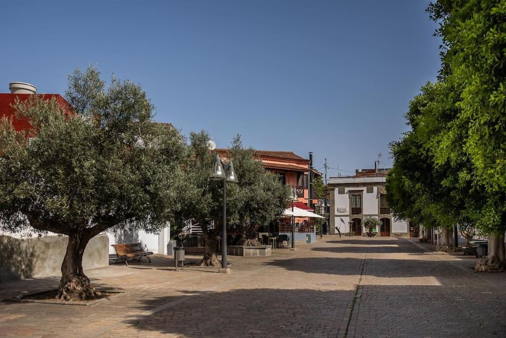 Apartamento En El Casco Historico De San Mateo Vega de San Mateo Exterior foto